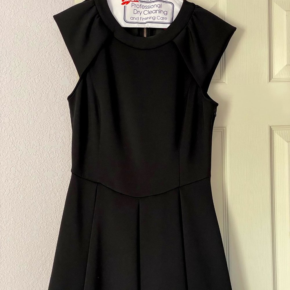 Ted Baker Skater Dress